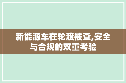 新能源车在轮渡被查,安全与合规的双重考验