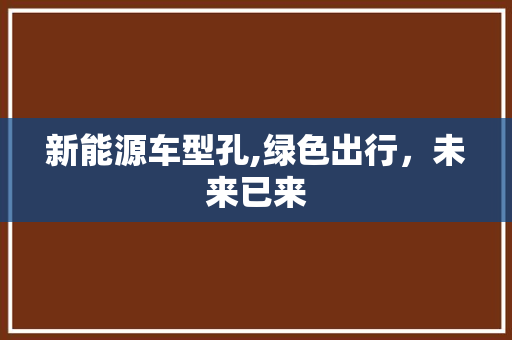 新能源车型孔,绿色出行，未来已来