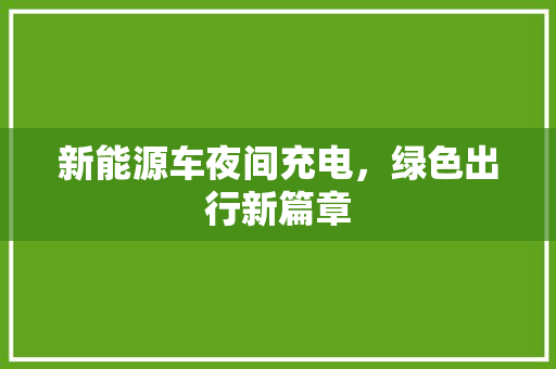 新能源车夜间充电，绿色出行新篇章