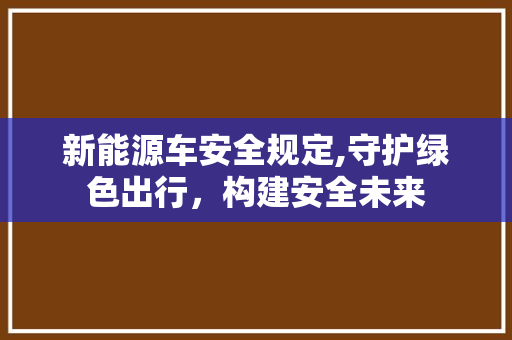 新能源车安全规定,守护绿色出行，构建安全未来