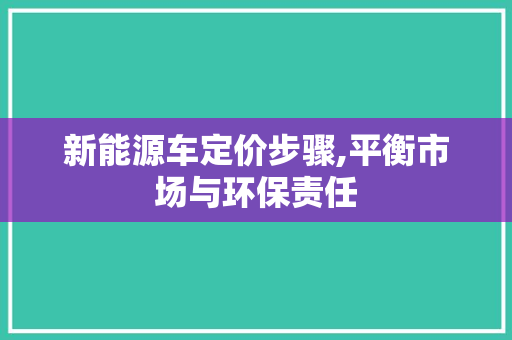 新能源车定价步骤,平衡市场与环保责任