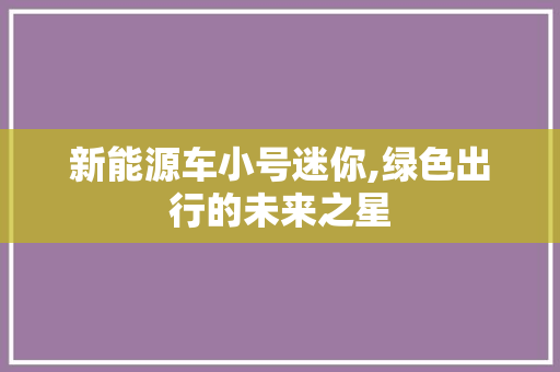 新能源车小号迷你,绿色出行的未来之星