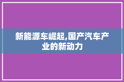 新能源车崛起,国产汽车产业的新动力