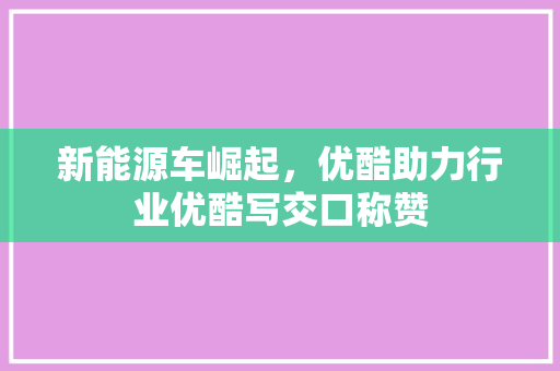 新能源车崛起，优酷助力行业优酷写交口称赞