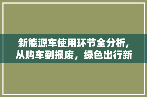 新能源车使用环节全分析,从购车到报废，绿色出行新选择