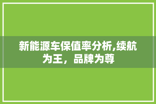新能源车保值率分析,续航为王，品牌为尊
