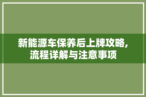 新能源车保养后上牌攻略,流程详解与注意事项