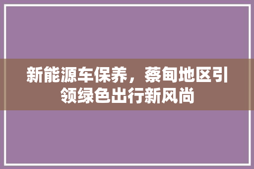 新能源车保养，蔡甸地区引领绿色出行新风尚