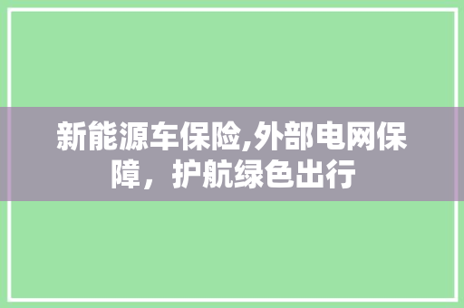 新能源车保险,外部电网保障，护航绿色出行