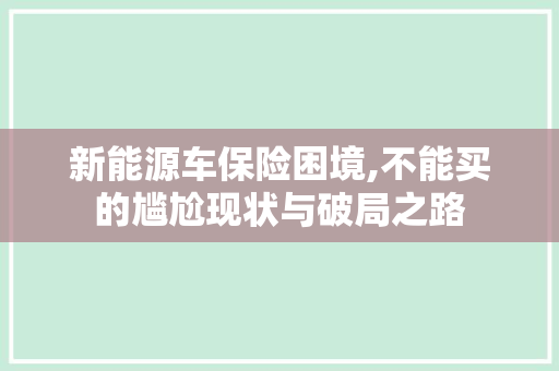 新能源车保险困境,不能买的尴尬现状与破局之路