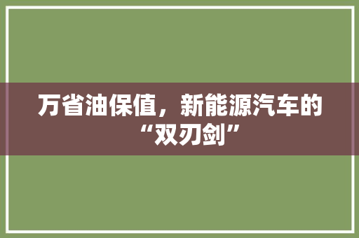 万省油保值，新能源汽车的“双刃剑”