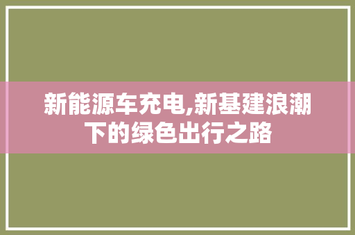 新能源车充电,新基建浪潮下的绿色出行之路