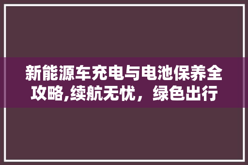 新能源车充电与电池保养全攻略,续航无忧，绿色出行