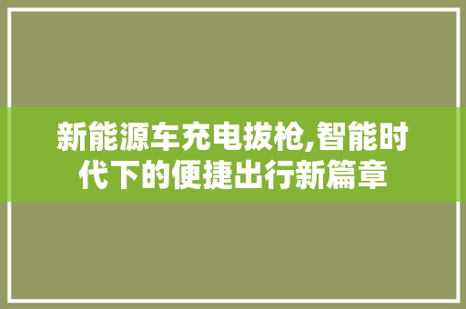 新能源车充电拔枪,智能时代下的便捷出行新篇章