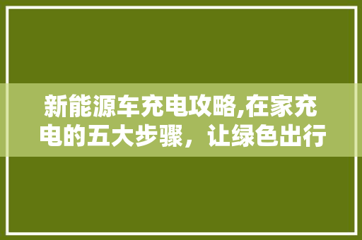 新能源车充电攻略,在家充电的五大步骤，让绿色出行更便捷