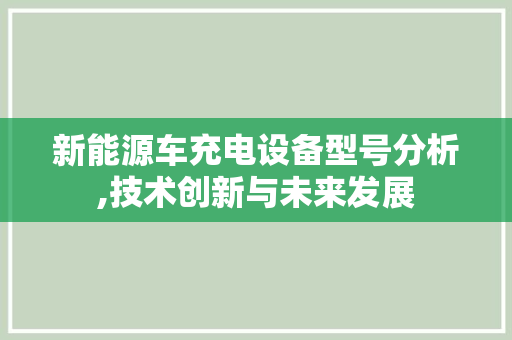 新能源车充电设备型号分析,技术创新与未来发展