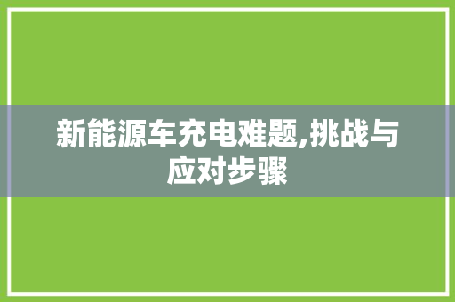 新能源车充电难题,挑战与应对步骤