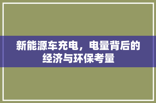 新能源车充电，电量背后的经济与环保考量