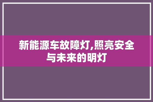 新能源车故障灯,照亮安全与未来的明灯