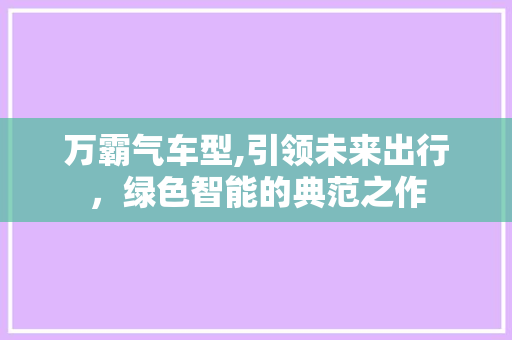 万霸气车型,引领未来出行，绿色智能的典范之作