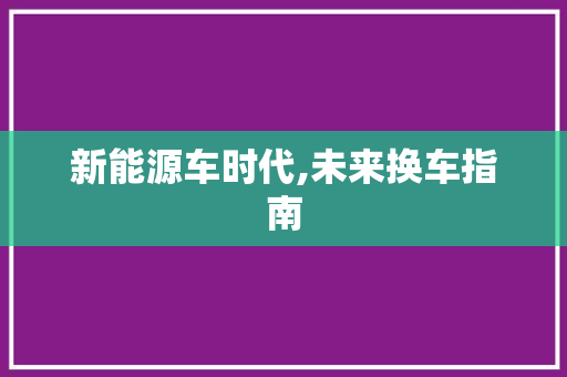 新能源车时代,未来换车指南