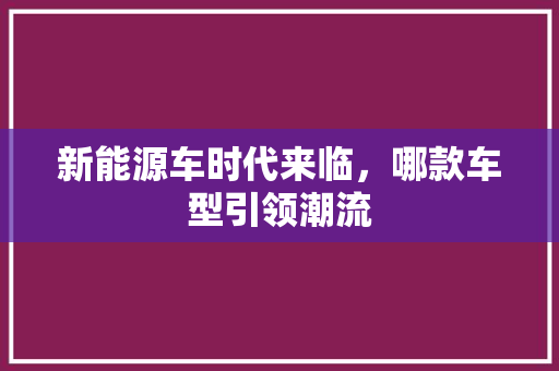 新能源车时代来临，哪款车型引领潮流