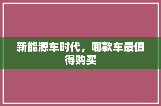 新能源车时代，哪款车最值得购买
