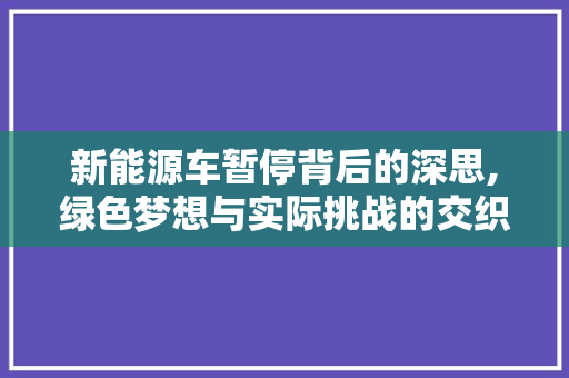 新能源车暂停背后的深思,绿色梦想与实际挑战的交织