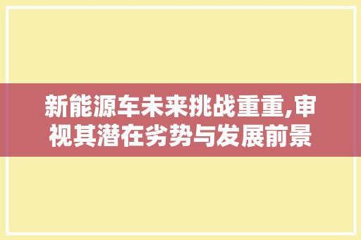 新能源车未来挑战重重,审视其潜在劣势与发展前景