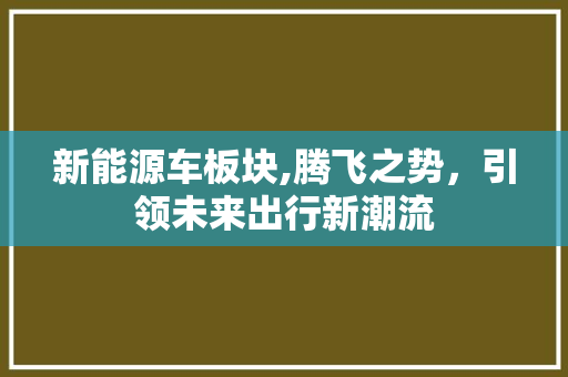 新能源车板块,腾飞之势，引领未来出行新潮流