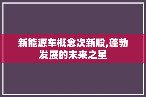 新能源车概念次新股,蓬勃发展的未来之星