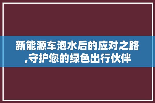 新能源车泡水后的应对之路,守护您的绿色出行伙伴