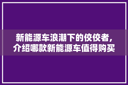 新能源车浪潮下的佼佼者,介绍哪款新能源车值得购买