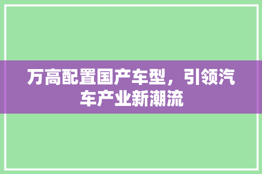 万高配置国产车型，引领汽车产业新潮流