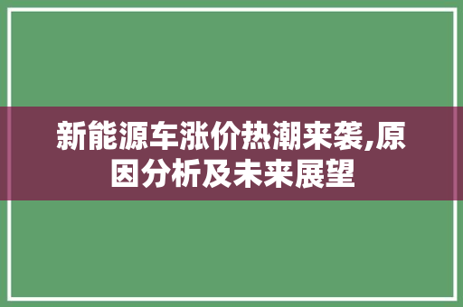 新能源车涨价热潮来袭,原因分析及未来展望