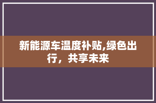 新能源车温度补贴,绿色出行，共享未来