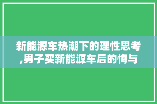 新能源车热潮下的理性思考,男子买新能源车后的悔与反思