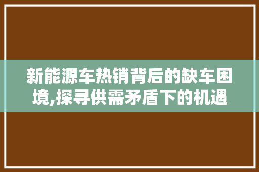 新能源车热销背后的缺车困境,探寻供需矛盾下的机遇与挑战