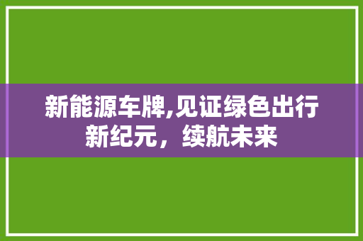 新能源车牌,见证绿色出行新纪元，续航未来