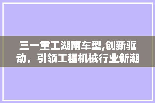 三一重工湖南车型,创新驱动，引领工程机械行业新潮流