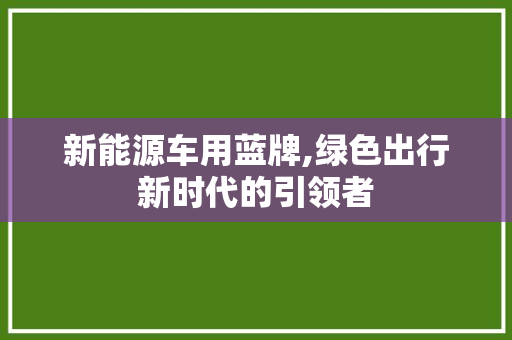 新能源车用蓝牌,绿色出行新时代的引领者
