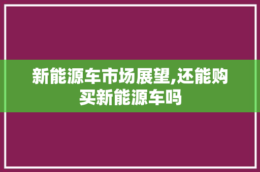 新能源车市场展望,还能购买新能源车吗