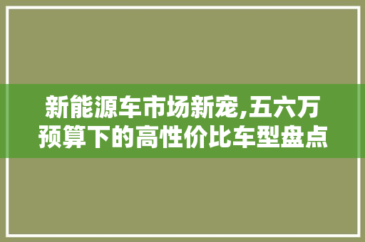 新能源车市场新宠,五六万预算下的高性价比车型盘点