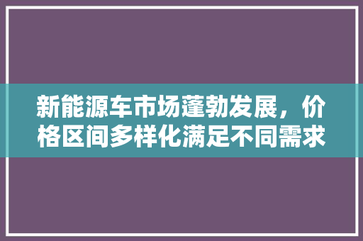 新能源车市场蓬勃发展，价格区间多样化满足不同需求