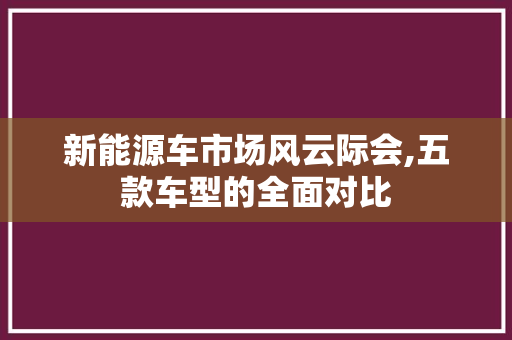 新能源车市场风云际会,五款车型的全面对比