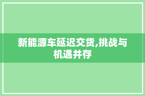 新能源车延迟交货,挑战与机遇并存