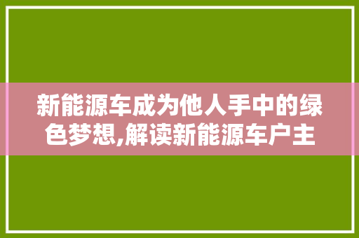 新能源车成为他人手中的绿色梦想,解读新能源车户主变迁背后的故事