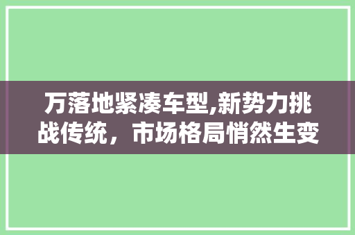 万落地紧凑车型,新势力挑战传统，市场格局悄然生变