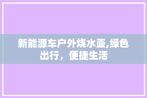新能源车户外烧水壶,绿色出行，便捷生活