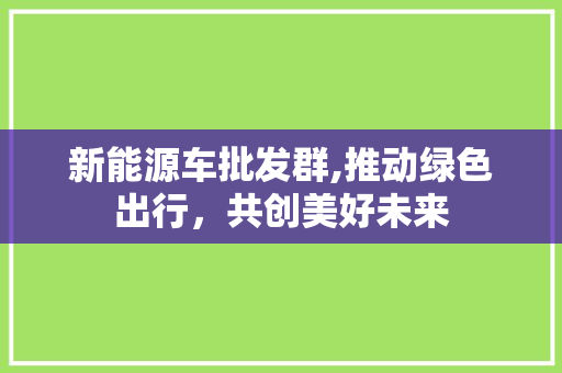 新能源车批发群,推动绿色出行，共创美好未来